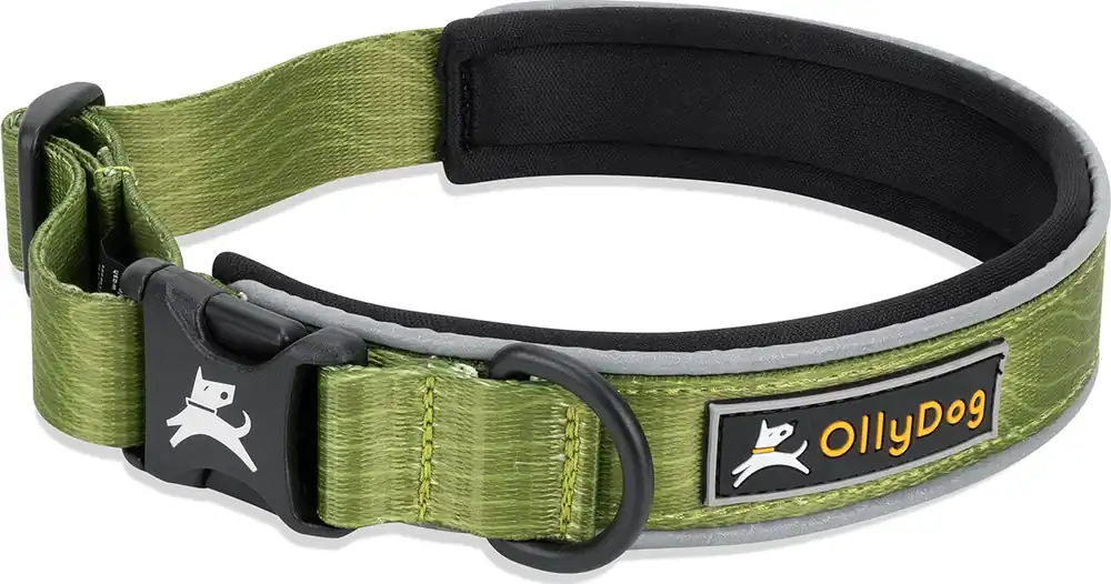 Uusi Kokoelma OllyDogOllyDog Flagstaff Reflective Comfort Collar Cactus