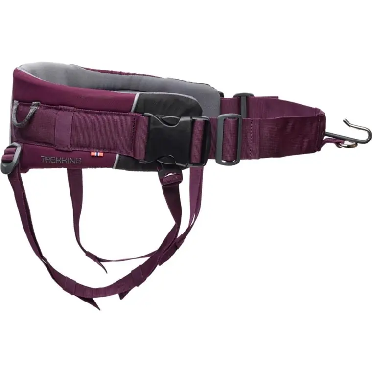 Kuuma Tarjous Non-stop dogwear Trekking Belt 2.0 Purple