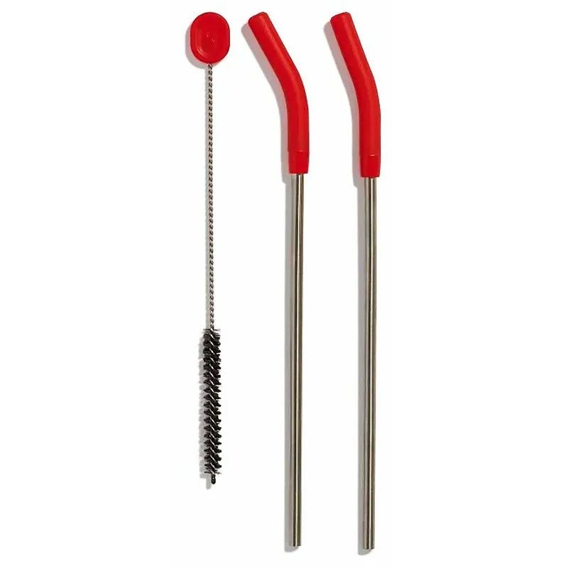 Hydro Flask Stainless Steel Straw Set Goji Bestseller